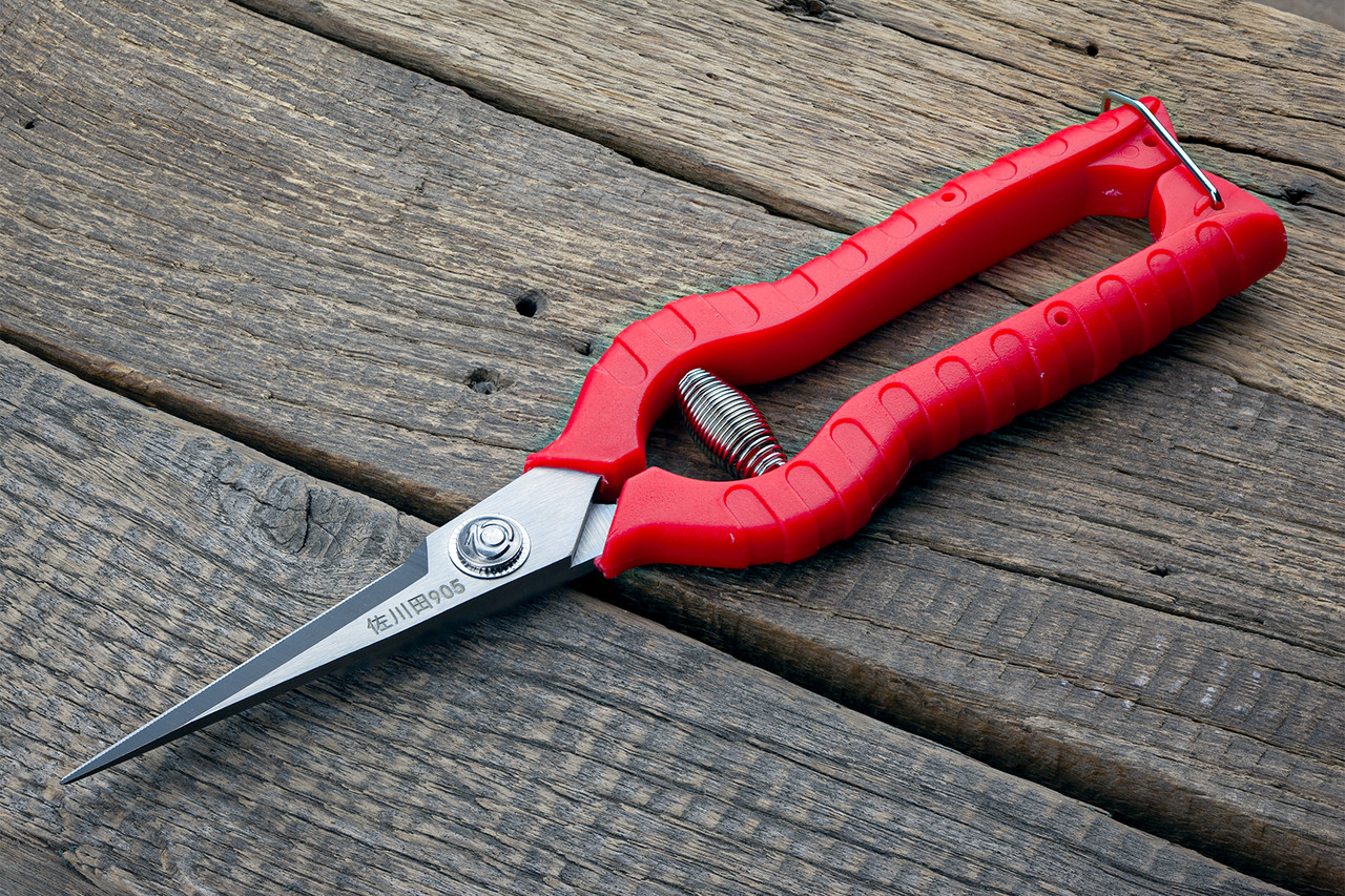 Секатор-ножиці 210 мм Sagawata, садові з неіржавкої сталі з запасною пружиною, фото 1