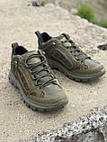 Кросівки тактичні літні Пегас \ олива, фото 3