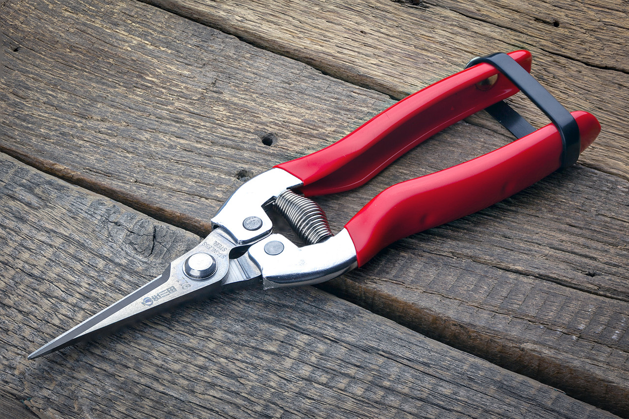 Секатор-ножиці 187 мм Sagawata, садові з неіржавкої сталі, фото 1