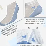 Набір жіночих шкарпеток коротких бавовняних Лео Blue Heart 36-40 6 пар Білий/Блакитний, фото 4