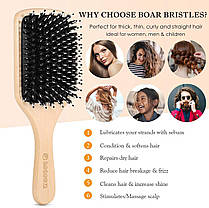 Набір щіток для волосся, гребінець Sosoon Boar Bristle Paddle для жінок, чоловіків і дітей, що зменшує пухнастість,, фото 3