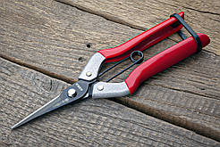 Секатор-ножиці 185 мм Sagawata, садові з неіржавкої сталі