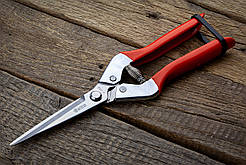 Секатор-ножиці 215 мм Sagawata, садові подовжені з неіржавкої сталі