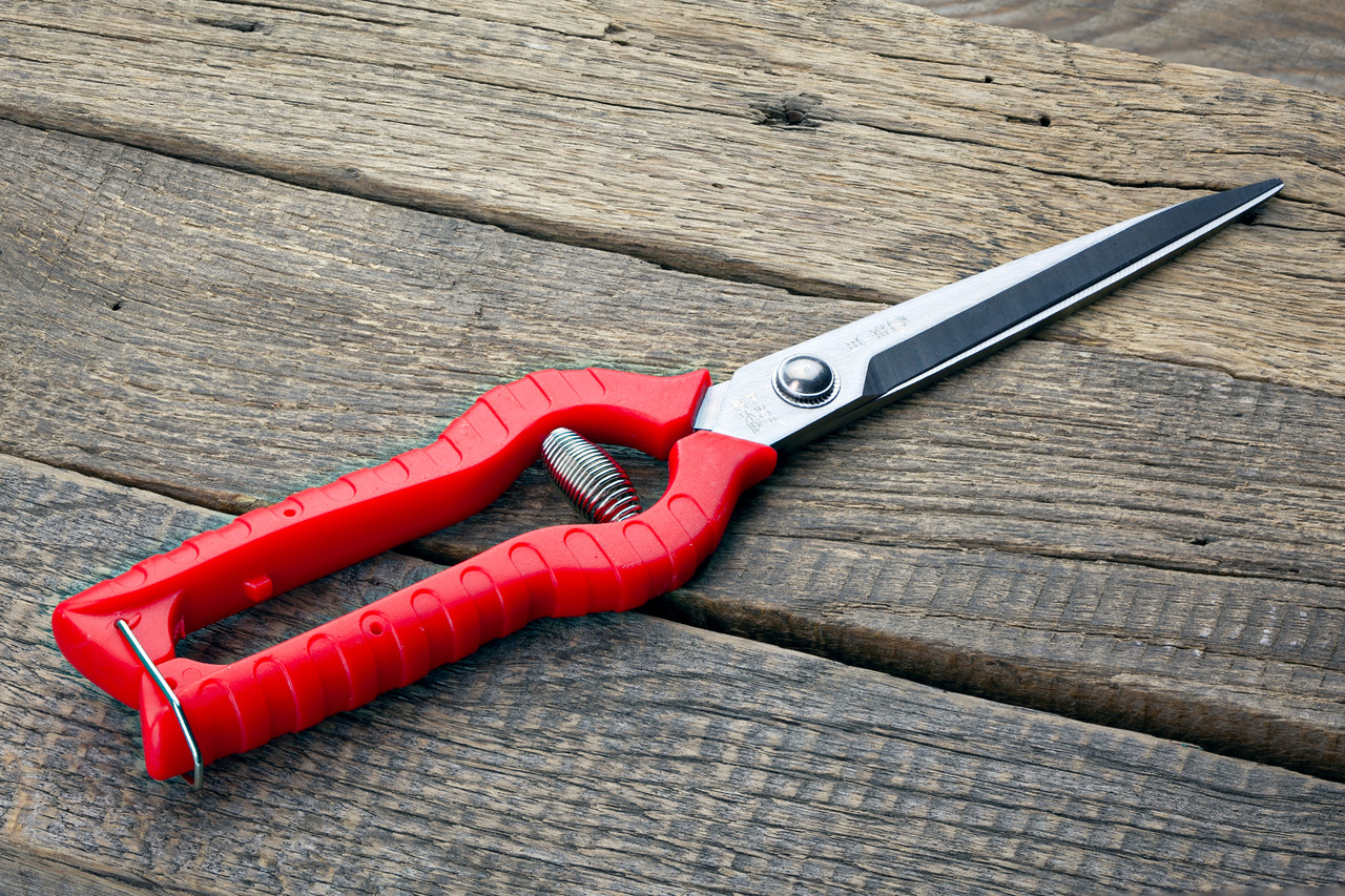 Секатор-ножиці 245 мм Sagawata, садові подовжені з неіржавкої сталі, фото 1