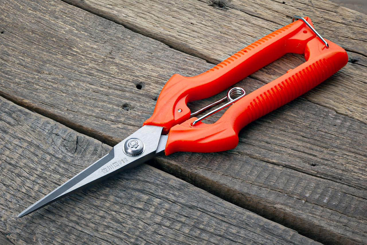 Секатор-ножиці 205 мм Sagawata, садові з неіржавкої сталі, фото 1