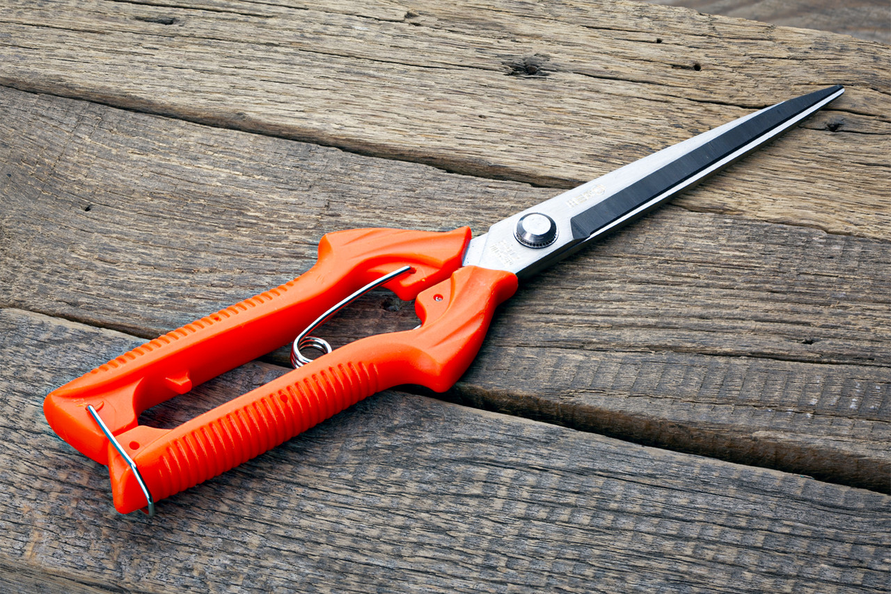 Секатор-ножиці 245 мм Sagawata, садові подовжені з неіржавкої сталі, фото 1