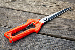 Секатор-ножиці 245 мм Sagawata, садові подовжені з неіржавкої сталі