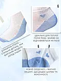 Набір жіночих шкарпеток коротких бавовняних Лео blue heart 36-40 6 пар Білий/блакитний, фото 6