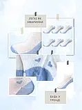 Набір жіночих шкарпеток коротких бавовняних Лео blue heart 36-40 6 пар Білий/блакитний, фото 7