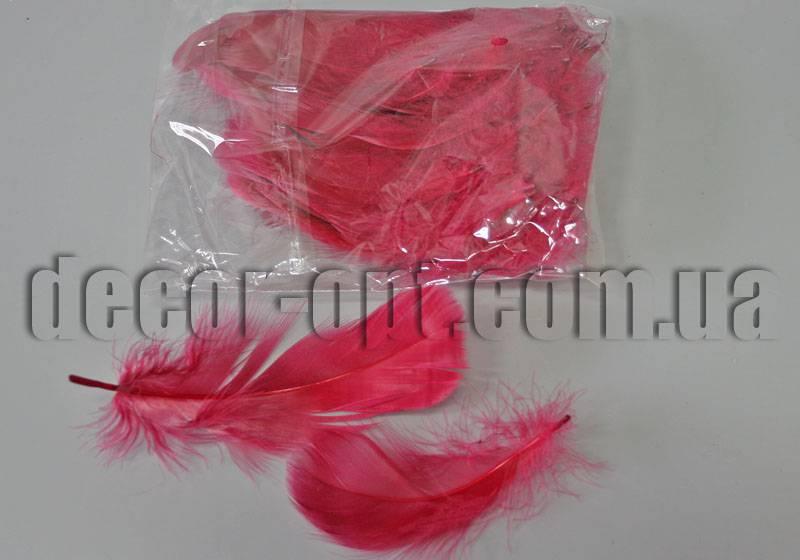 Пір'я бордове 5-15 см 100 шт.