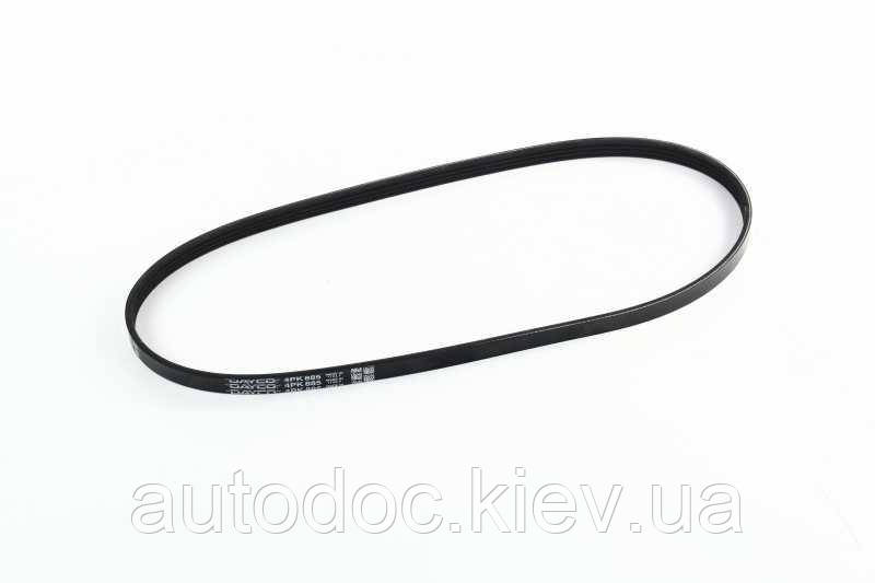 Ремінь поліклін. (Вир-во DAYCO), арт.4PK885, фото 1