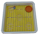 Інкубатор побутовий Рябушка Smart Plus 150 цифровий тен, фото 3