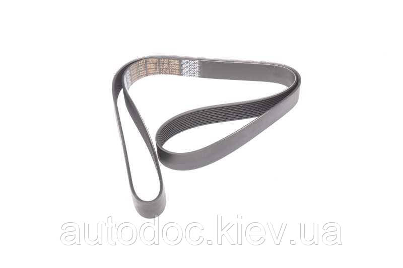 Ремінь поліклін. 10PK1725HD TRUCK (вир-во DAYCO), арт.10PK1725HD, фото 1