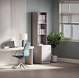 Шафа в офіс, шафа для папок, шафа для паперу., фото 5