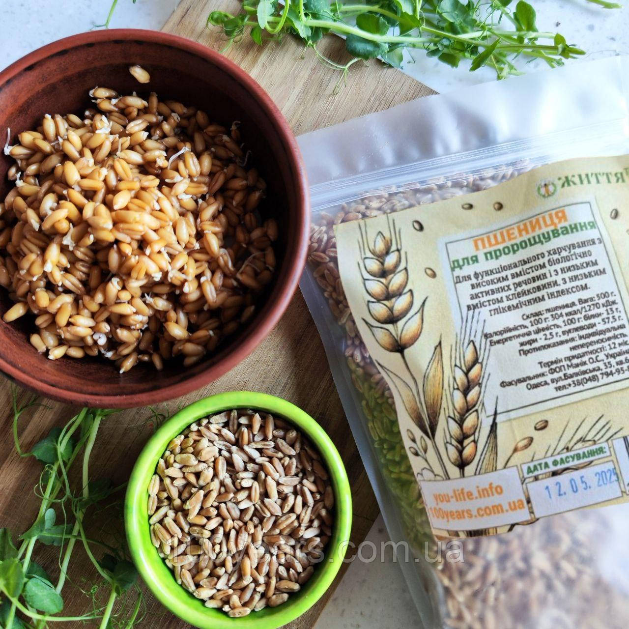 Зерно пшениці для пророщування, 1 кг, фото 1