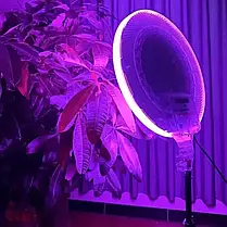 Кругла світлодіодна лампа 45 см RGB-LED Fill Light GS-450 кольорова з пультом для фото та відео, фото 4