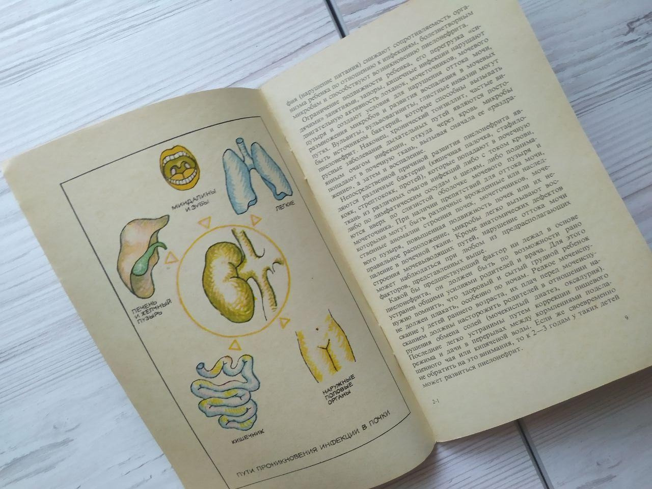 Product image preview