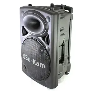 Портативна колонка Su-Kam BT 100D + 1 бездротовий мікрофон (12v/220v), фото 3