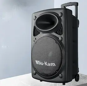 Портативна колонка Su-Kam BT 150D + 2 мікрофони 12v/220v