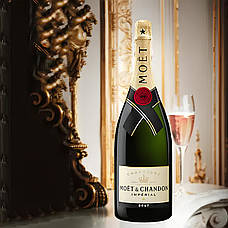 Муляж Велика пляшка Шампанське Moet Chandon, бутафорія 1.5л без коробки, фото 5