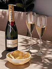 Муляж Велика пляшка Шампанське Moet Chandon, бутафорія 1.5л без коробки, фото 4