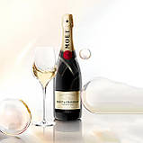 Муляж Велика пляшка Шампанське Moet Chandon, бутафорія 1.5л без коробки, фото 3
