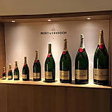 Муляж Велика пляшка Шампанське Moet Chandon, бутафорія 1.5л без коробки, фото 4