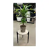 Підставка під квіти Richman Квіткар маленька, фото 5