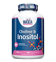 Haya Labs Choline & Inositol 500mg 100caps