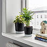 Самополиваючий горщик для квітів IKEA VÅRDTRÄD Діаметр - 9 см 105.708.63, фото 4