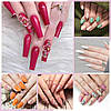 Набір для гелевих нігтів Phoenixy, набір з 12 кольорів Soak Off Gel Nail Polish Set з лампою Starter Kit 8ml Na, фото 7
