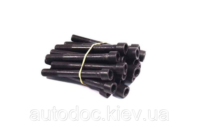 Болти головки блоку к-т 18 шт HYUNDAI/MITSUBISHI 2,5D/TD 4D55/4D56/D4BA/D4BF/D4BH (вир-во Elring), арт.709.310, фото 1