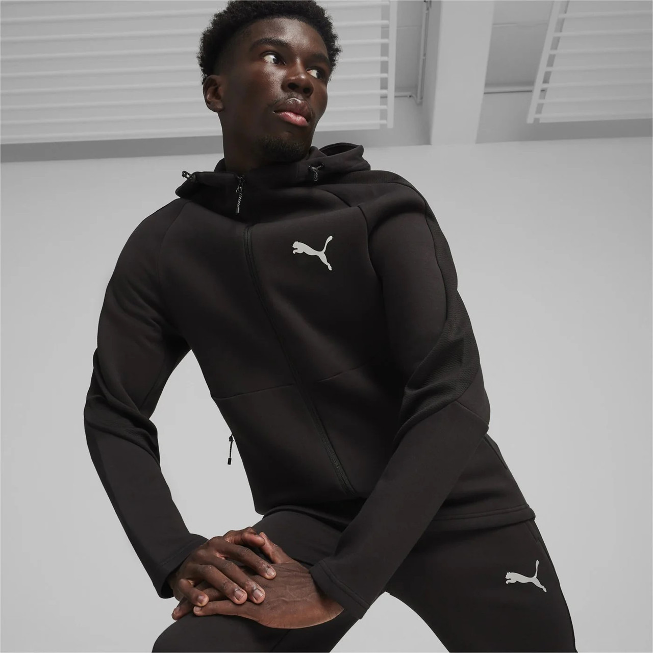 Толстовка чоловіча Puma Evostripe Full-Zip Men's Hoodie 678995 01 (чорна, по фігурі, спортивна, бренд пума)