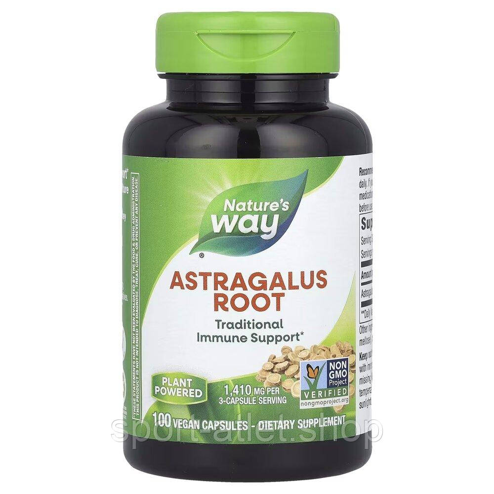 Натуральна добавка Nature's Way Astragalus Root, 100 капсул, фото 1