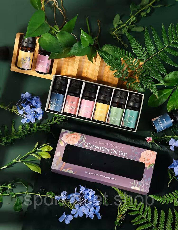 Ефірна олія Kinscoter Essential Oil Set 6 bottles, 6*10 мл, фото 1