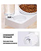 Миска для тварин Semi Animal Bowl 13см*24см*21см 500 мл, White з автоматичною поїлкою, фото 3