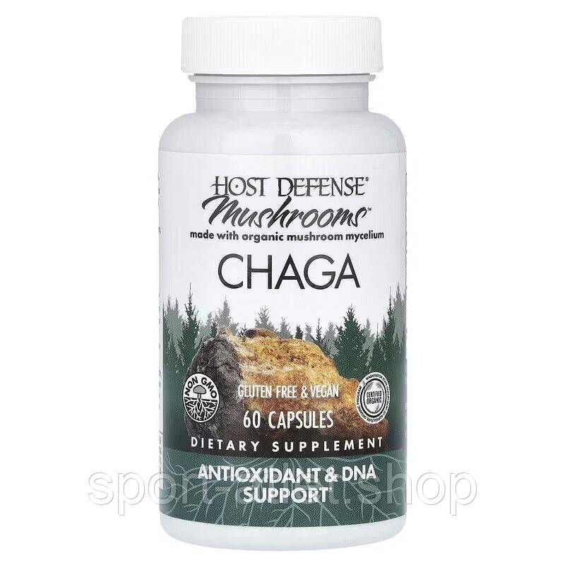 Натуральна добавка Host Defense Chaga, 60 капсул, фото 1