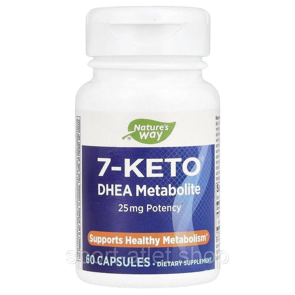 Вітаміни та мінерали Nature's Way 7-Keto DHEA Metabolite 25 mg, 60 капсул для підтримки здорового обміну речовин