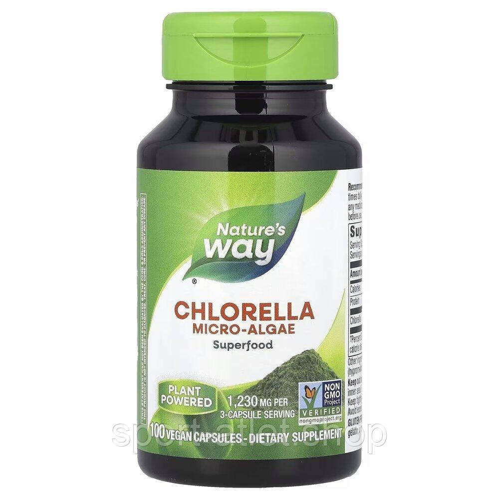Хлорелла Nature's Way Chlorella Micro-Algae, 100 вегакапсул для підтримки імунної системи, фото 1