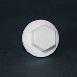 Заглушка PPR 1"З  Tebo біла 60/600, фото 2