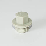 Заглушка PPR 3/4"З  Tebo сіра 80/960, фото 2