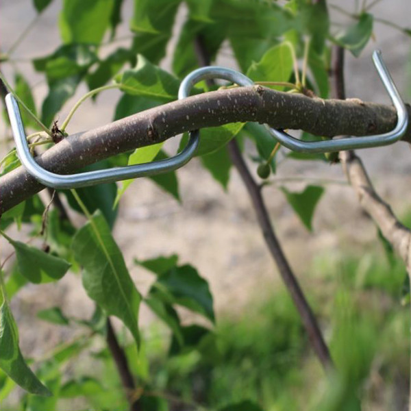 Вирівнювачі гілок (9шт), фото 1