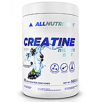 Creatine Muscle Max - 500g Pure