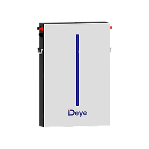 Акумуляторна батарея RW-M6.1 Deye (LiFePO4 51,2V 120Ah 6,14kWh), фото 1