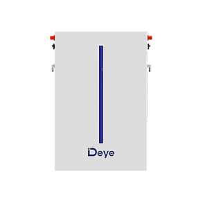 Акумуляторна батарея RW-M6.1 Deye (LiFePO4 51,2V 120Ah 6,14kWh), фото 2