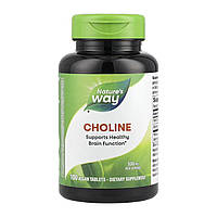 Choline 500 mg - 100 tabs