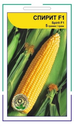Кукурудза Спіріт F1 5г Агропак (Syngenta)