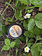 Бойли нейтральної плавучості Carp Zoom Method Duo Wafters Chocolate-orange (9 мм 13г), фото 6