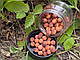 Бойли нейтральної плавучості Carp Zoom Method Duo Wafters Chocolate-orange (9 мм 13г), фото 5