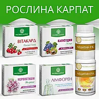 Програма для серцево-судинної системи при атеросклерозі та підвищеному тиску, Рослина Карпат, 360 штук